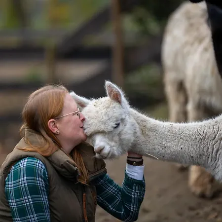 Apartment Alpaka -&ferienhof Neukämper *