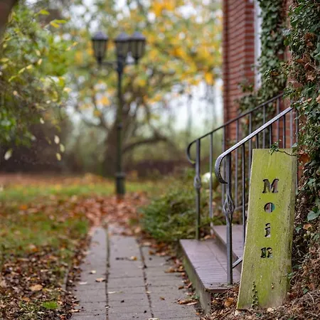 Alpaka -&ferienhof Neukämper Apartment