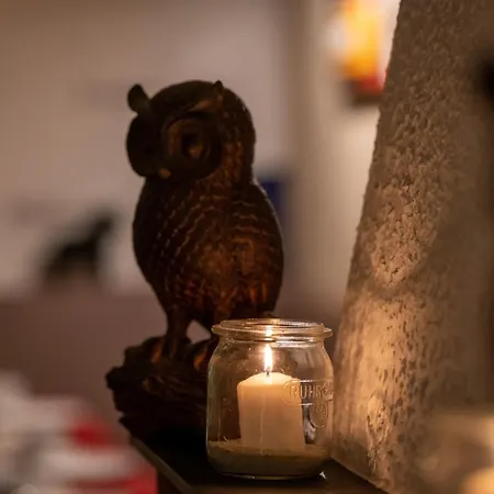 Alpaka -&ferienhof Neukämper Apartment Norden