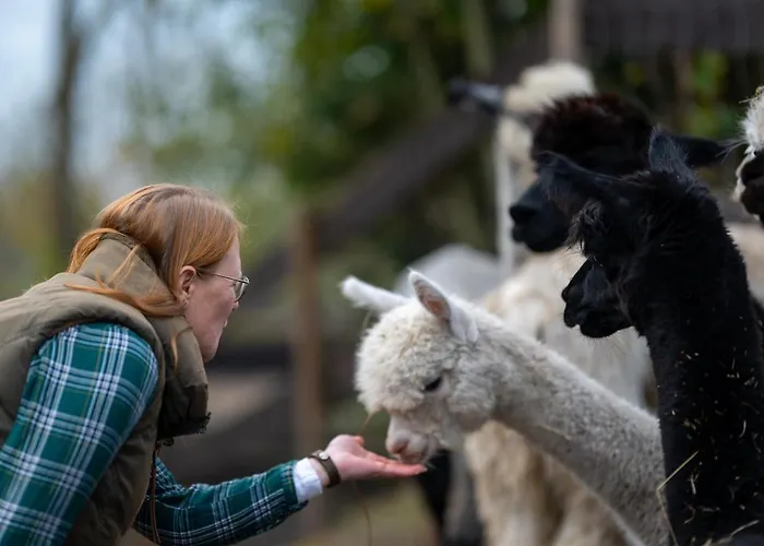 Alpaka - & Neukaemper 노르덴